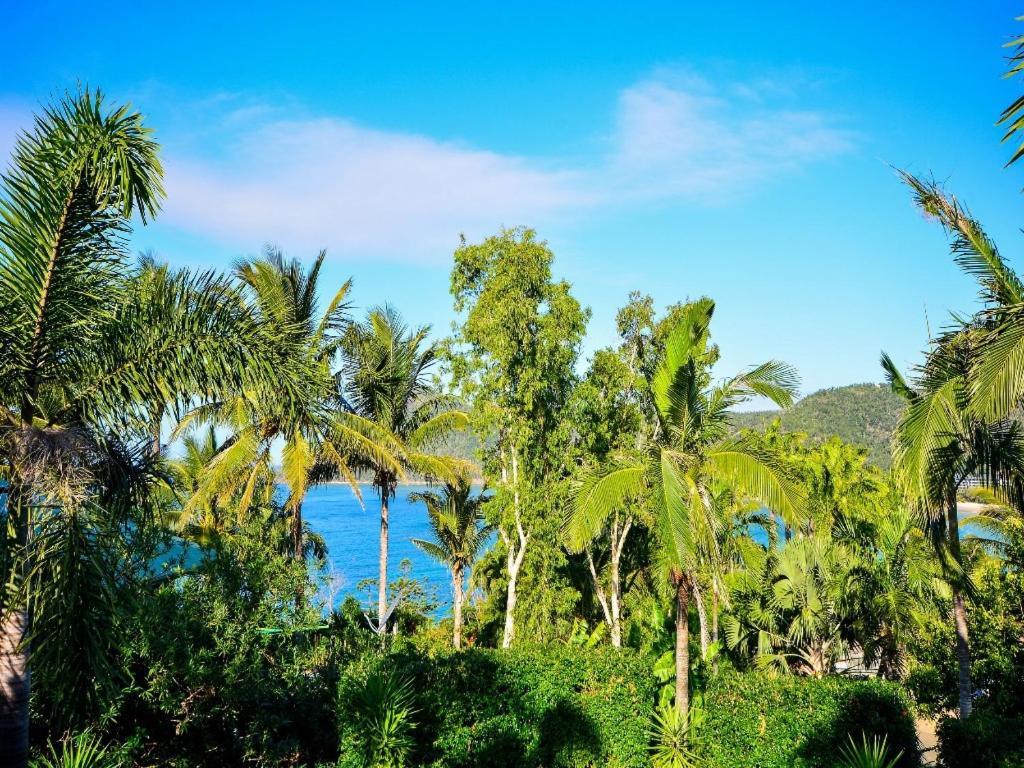 Вилла The Palms On Остров Гамильтон Экстерьер фото